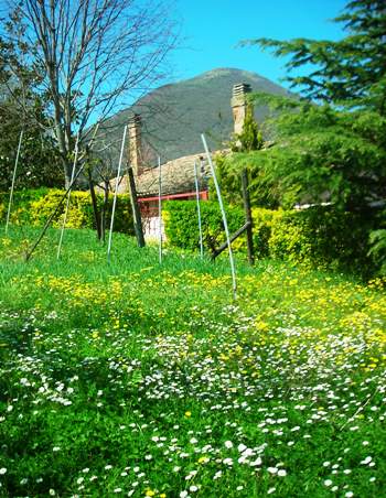 Apartment House of Nonni